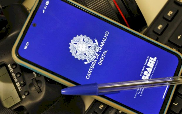 Em 11 estados, desemprego está abaixo da média do país; veja quais