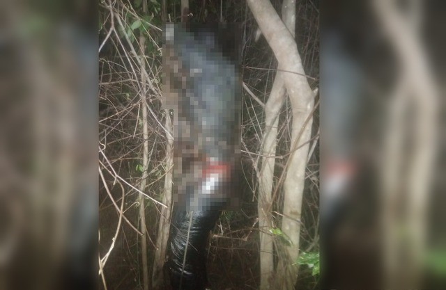 Homem é encontrado morto com os pés e cintura amarrados
