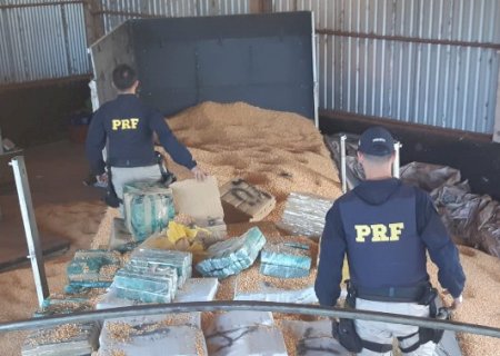 Motorista preso com 2,6 t de maconha