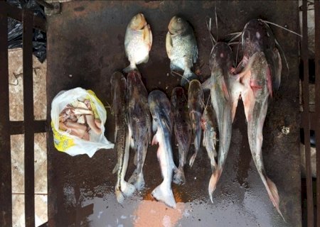 P M A prende três comerciantes no rio Paraguai por pescar em piracema, apreende lancha, pescado e recaptura um deles que era fugitivo por tráfico