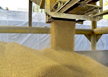 China teme que pandemia de covid-19 no Brasil prejudique oferta de soja