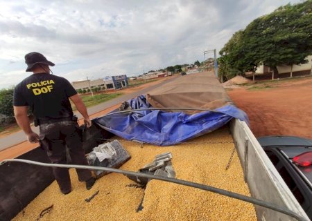 DOF faz a maior apreensão de maconha em 33 anos de sua criação