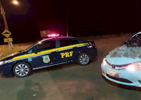 PRF apreende 11,9 Kg de skunk em Ponta Porã