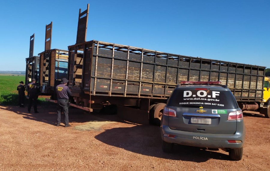Três caminhões boiadeiros com placas de Taquarussu/MS com mais de três toneladas de maconha foram apreendidos pelo DOF