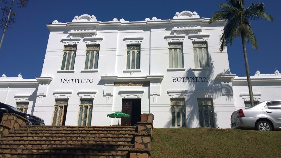 Butantan prevê colocar vacina contra a Covid-19 à disposição até o fim do ano