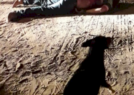 Homem é suspeito de matar genro a tiros após a filha ser agredida por ele