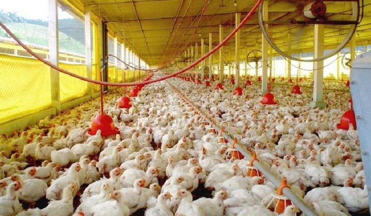Conselho do FCO aprova R$ 131,4 milhões para novos empreendimentos rurais e empresariais em MS