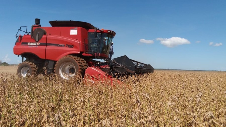 Bom desempenho do agro em MS ajuda a entender PIB positivo do setor no país, apontam especialistas
