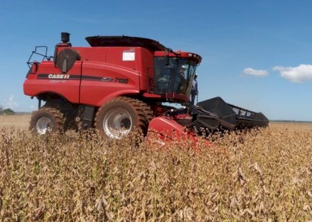 Bom desempenho do agro em MS ajuda a entender PIB positivo do setor no país, apontam especialistas