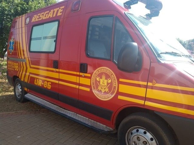Homem morre após ter sofrer ataque de abelhas em cidade do MS.