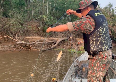 Polícia Militar Ambiental de Batayporã apreende petrechos ilegais de pesca no rio Ivinhema e solta pescado dos petrechos