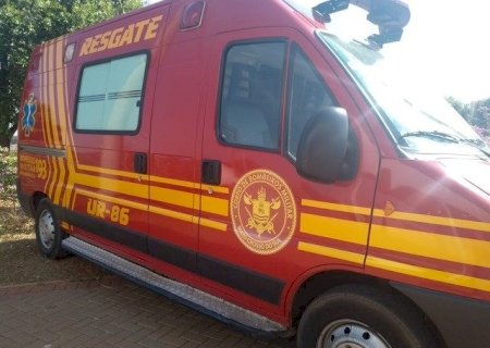 Homem morre após ter sofrer ataque de abelhas em cidade do MS.