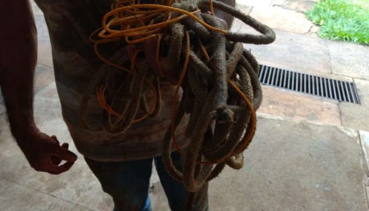 Caminhoneiro é amarrado, colocado em porta-malas e mantido em cárcere por 9 horas durante roubo