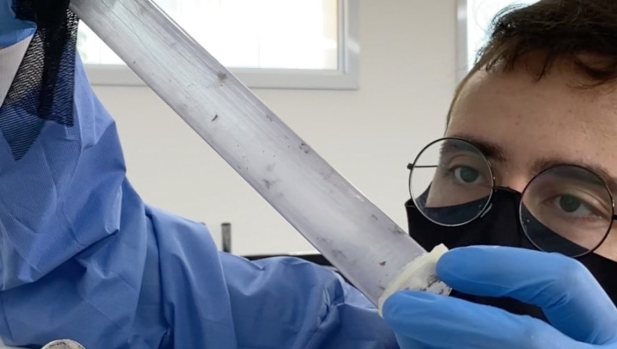Mosquitos \'Aedes aegypti\' com bactéria Wolbachia começam a ser soltos em MS; expectativa é reduzir dengue e outras doenças