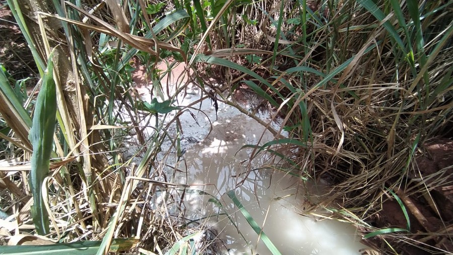 Polícia Militar Ambiental de Naviraí autua empresa em R$ 20 mil por lançar efluentes de fecularia poluindo solo em matas ciliares e água de um córrego e do rio Amambai
