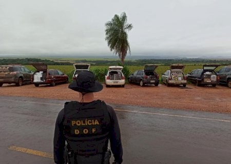 Comboio de veículos com produtos ilegais avaliados em mais de 600 mil reais foram apreendidos pelo DOF