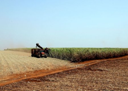 Governo lança plano de promoção da agricultura de baixo carbono