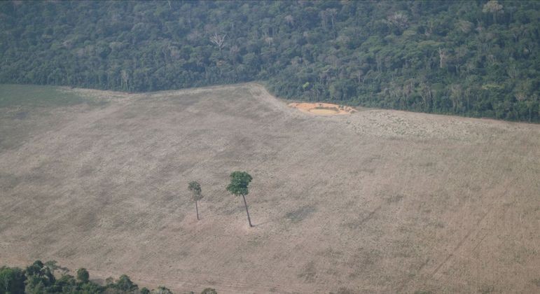Inpe: Amazônia tem desmatamento maior para mês de abril desde 2016