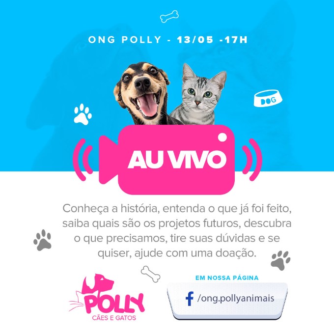 ONG de Animais Polly Cães & Gatos irá realizar live para falar sobre suas ações, objetivos e de que maneira população pode ajudar