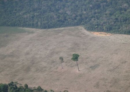 Inpe: Amazônia tem desmatamento maior para mês de abril desde 2016
