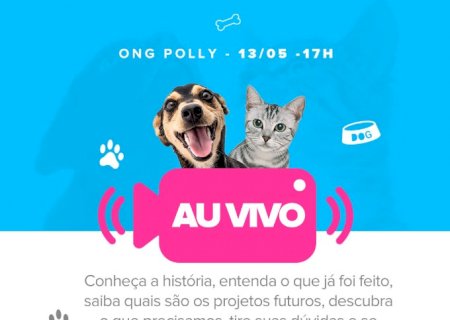 ONG de Animais Polly Cães & Gatos irá realizar live para falar sobre suas ações, objetivos e de que maneira população pode ajudar