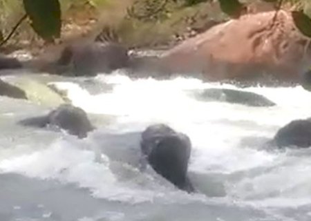 Corpo em decomposição é retirado do Rio Aquidauana