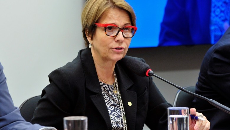 Brasil pode ser principal player para investimentos verdes no mundo, diz ministra
