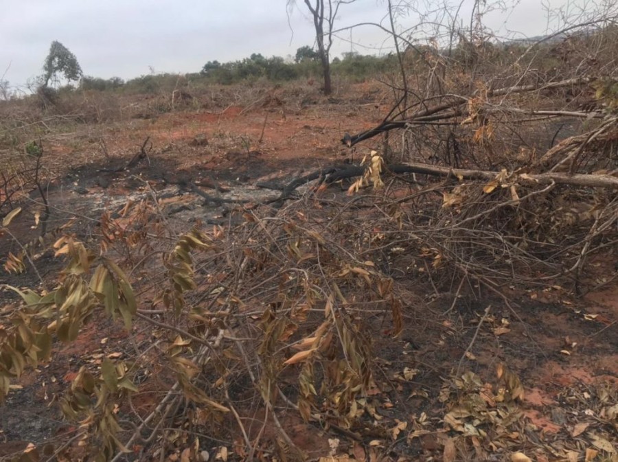 Polícia Militar Ambiental de Batayporã autua assentado em R$ 3 mil por incêndio em área de pastagem