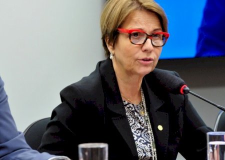 Brasil pode ser principal player para investimentos verdes no mundo, diz ministra