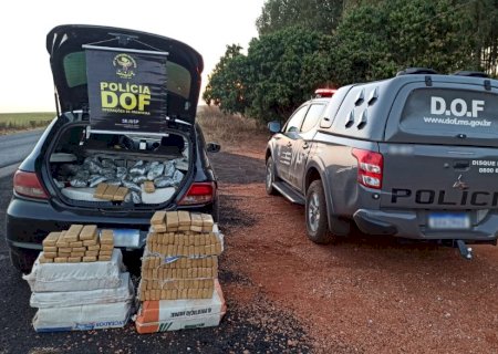 Batayporã-Veículo que seguia para o Rio Grande do Sul com mais de 340 quilos de drogas foi apreendido pelo DOF