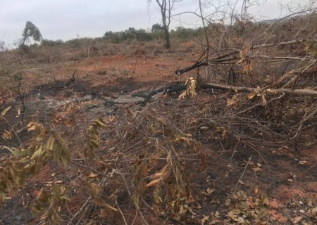 Polícia Militar Ambiental de Batayporã autua assentado em R$ 3 mil por incêndio em área de pastagem