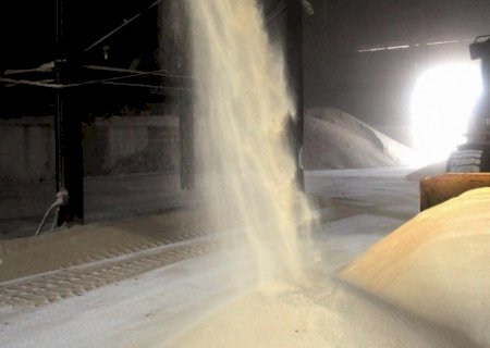Em setembro, açúcar cristal bate recorde de preço da série histórica do Indicador CEPEA/ESALQ