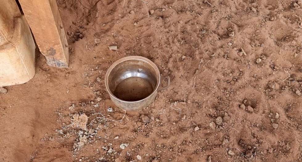 Polícia Militar Ambiental de Naviraí autua infrator em R$ 6 mil por maus tratos a seis cães
