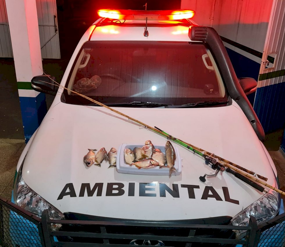 Polícia Militar Ambiental de Naviraí prende e autua pescador em R$ 1,2 mil por pescar durante a piracema