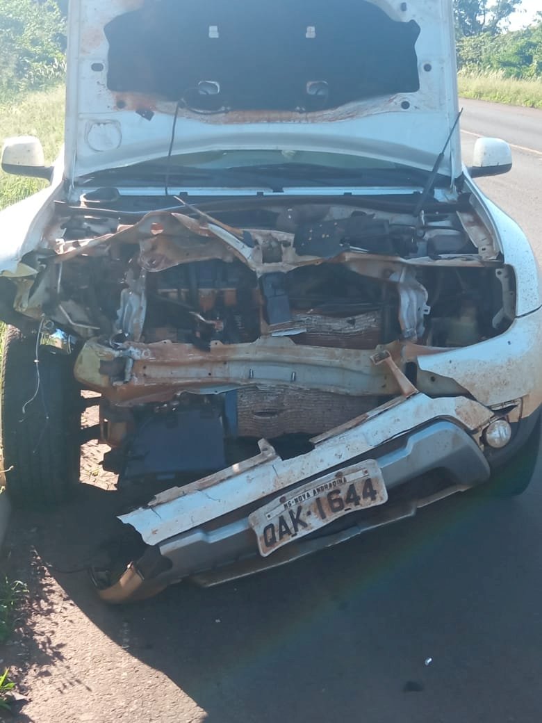 Veiculo com placas de Nova Andradina colide em anta na BR-267.