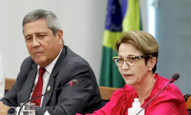 Por que Braga Netto balança e Tereza Cristina surge como a vice ideal para Bolsonaro