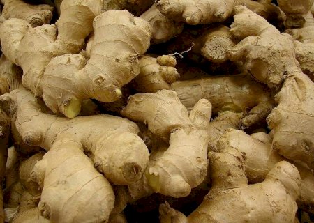 Artigo - Pesquisa de MS aponta que gengibre acaba com “superbactérias”