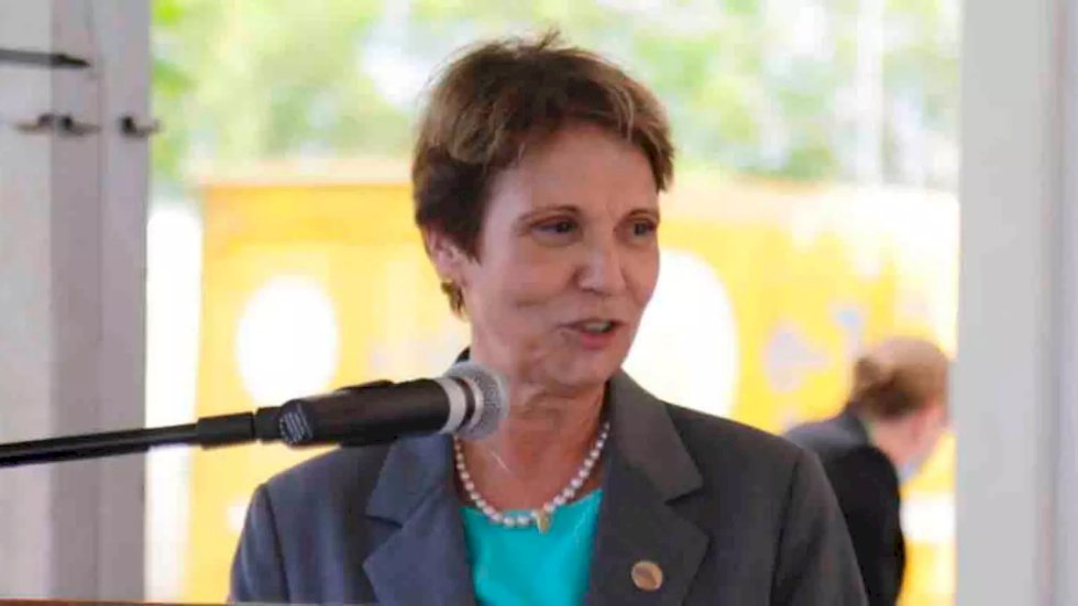 Lupi pede retirada do PDT em MS do registro de Tereza Cristina ao Senado