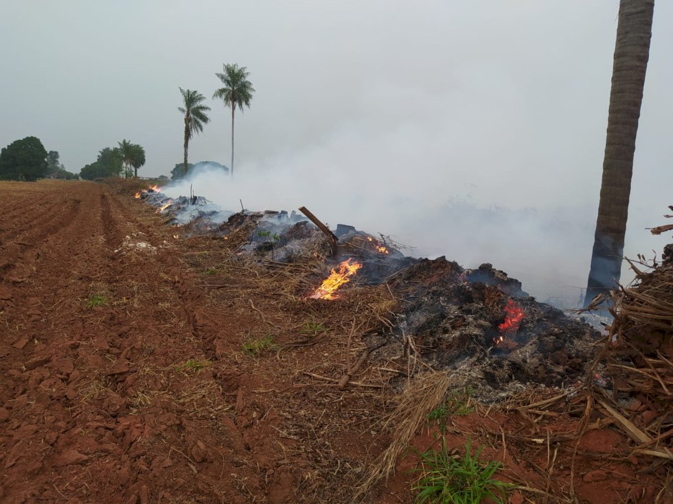 PMA de Batayporã autua infrator por provocar incêndio em restos de vegetação neste período proibido.