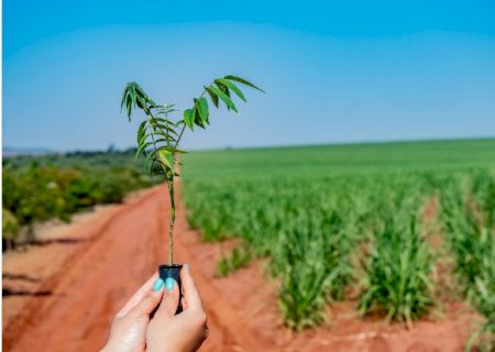 Atvos realiza ações de preservação ambiental em Mato Grosso do Sul