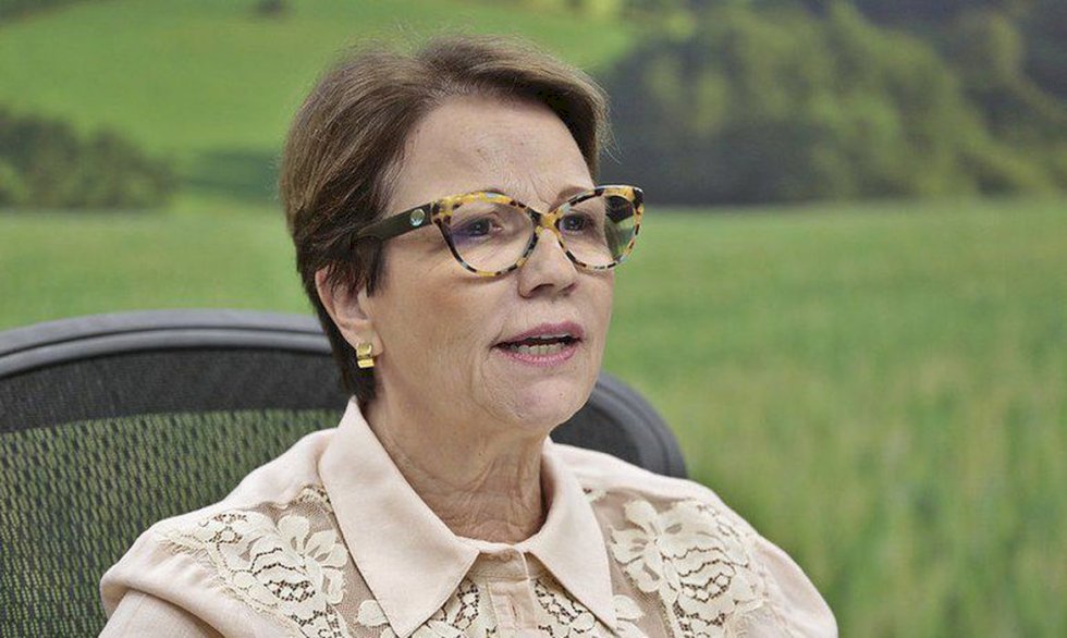 Eleições 2022 - Tereza Cristina é eleita Senadora pelo MS com mais de 61% dos votos validos.