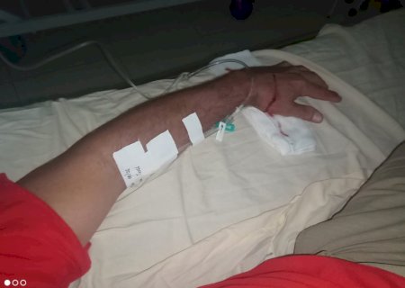 Ivinhema - Bombeiro sofre ferimento ao capturar um tamanduá de grande porte.