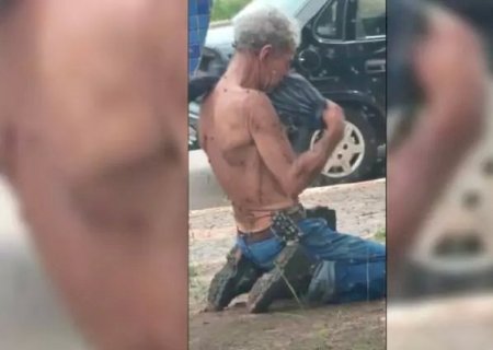 Homem de 70 anos recebe 500 picadas de abelhas em ataque