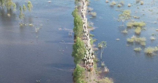 Usina abre comportas após volume de chuva acima da média e água alaga fazendas de Batayporã.