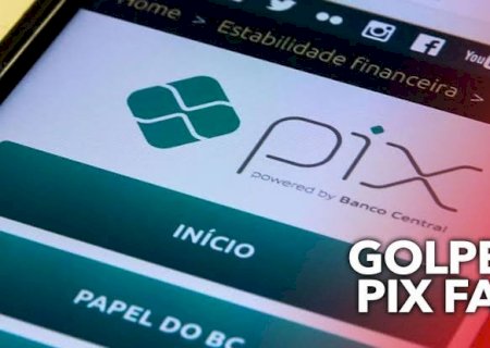 Polícia Civil de Anaurilândia indicia mulher por praticar golpe do pix.