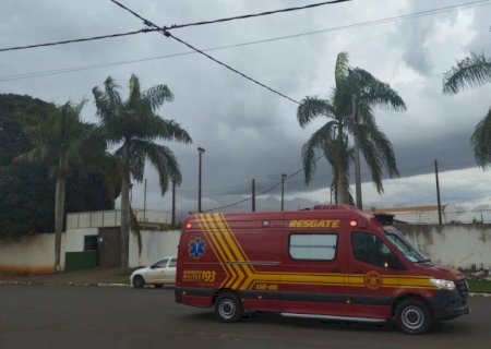Ivinhema - Abelhas arrancham em poste próximo ao portão da AREFA.