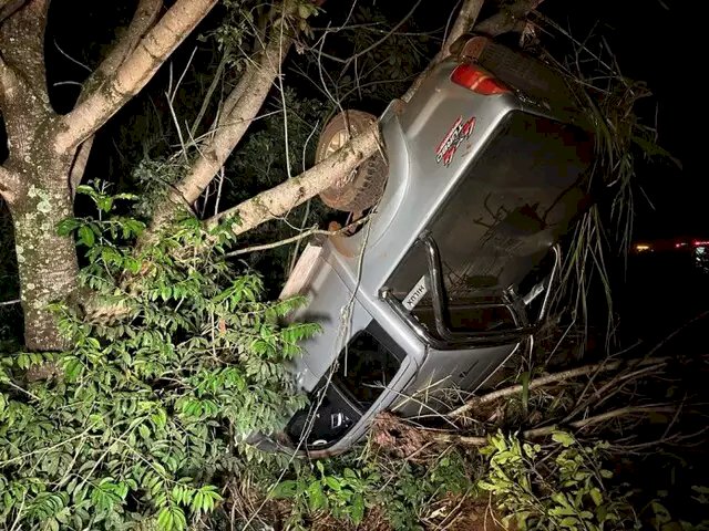 Nova Alvorada do Sul - Homem atropela anta e capota caminhonete na rodovia BR-163.