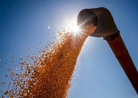 Conab estima produção de grãos em 315,8 milhões de toneladas