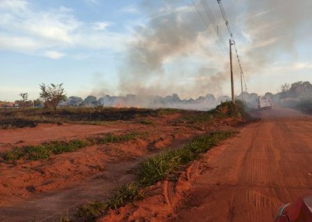 Ivinhema - Bombeiros combate fogo em vegetação.