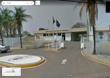 Abelhas atacam militares em exercício e deixando um em estado grave.